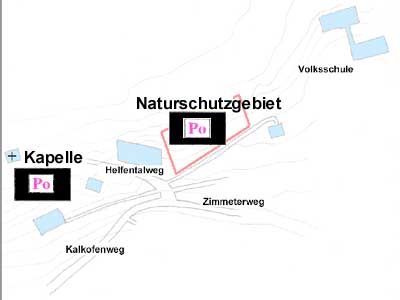 Untersuchungsgebiete in Arzl